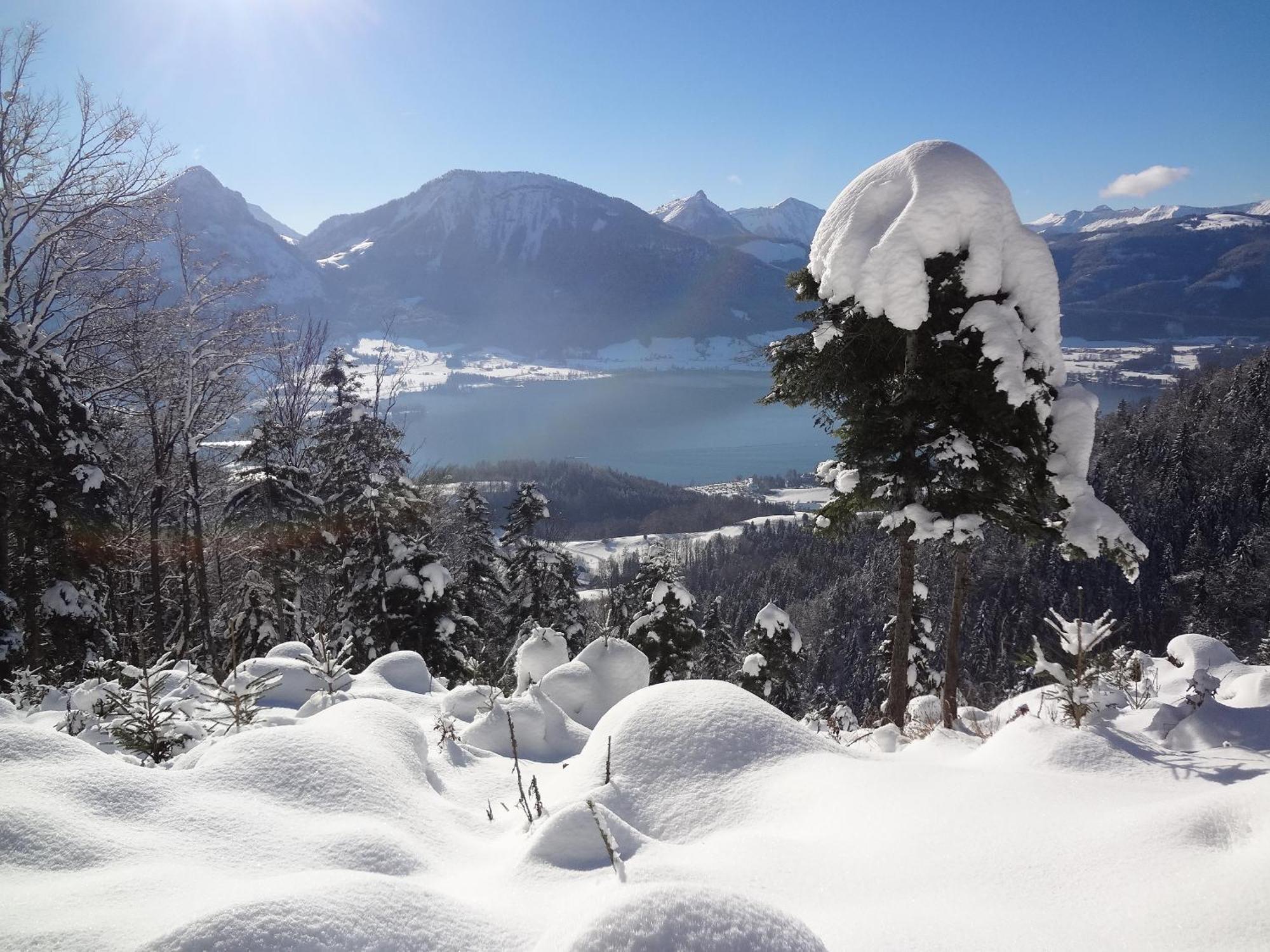 Appartement Scheibling Sankt Wolfgang im Salzkammergut Екстер'єр фото